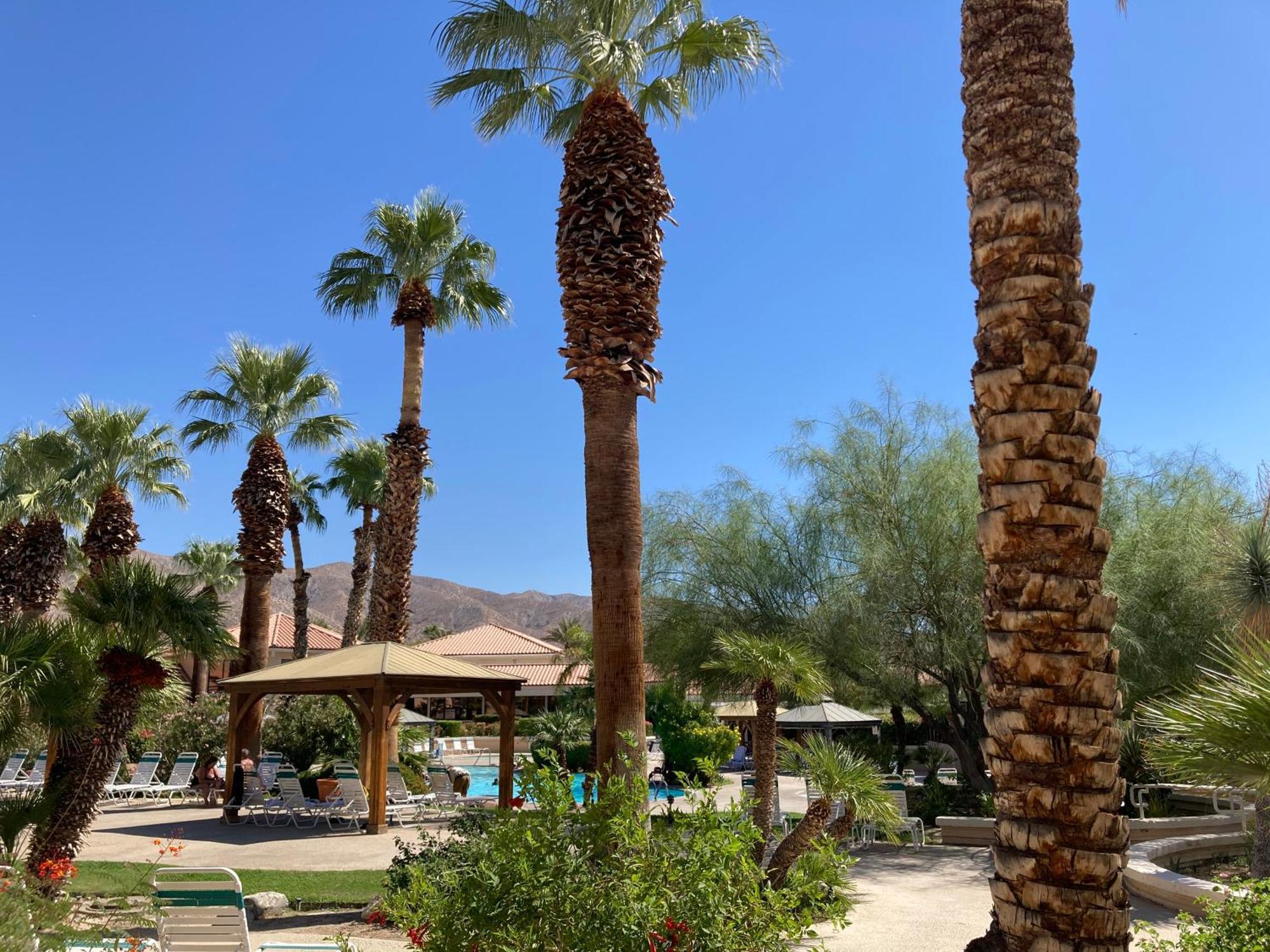 Miracle Springs Resort And Spa Desert Hot Springs Buitenkant foto